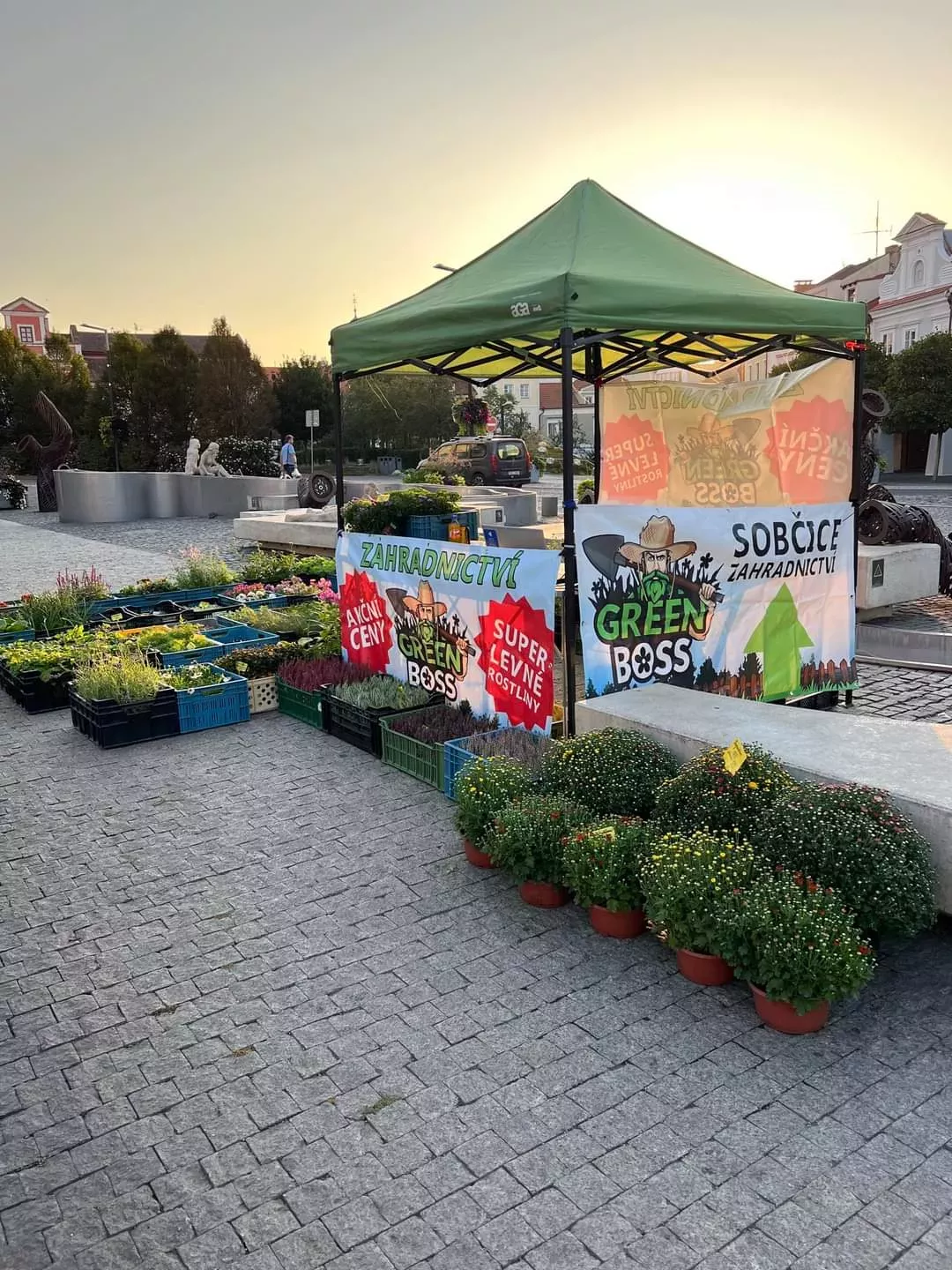 Zahradnictví Green Boss - trvalky